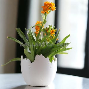 May include: A white ceramic planter shaped like a cracked egg with a small plant with orange flowers growing inside.