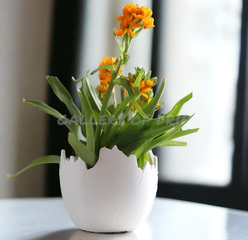 May include: A white ceramic planter shaped like a cracked egg with a small plant with orange flowers growing inside.