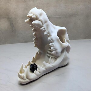 May include: White ceramic skull dice holder with an open mouth and a black dice inside.