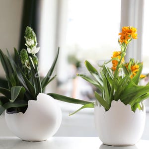 May include: Two potted plants in white egg-shaped planters. The plant on the left has white flowers and green leaves. The plant on the right has orange flowers and green leaves.