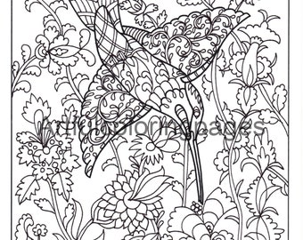 Adult Coloring Pages - Bird Coloring Pages - Nature Coloring Page - Printable Coloring Pages - Instant Download