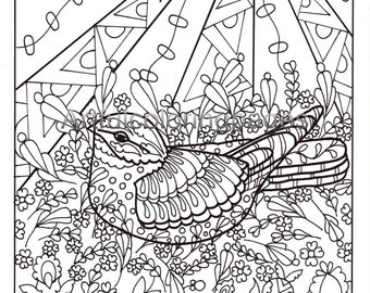 Adult Coloring Pages - Bird Adult Coloring Pages - Printable Nature Adult Coloring Pages - Instant Download