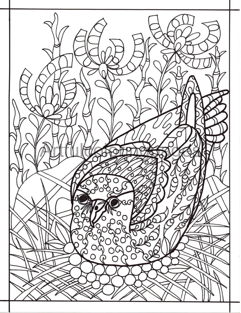 Bird Adult Coloring Pages Printable - Il 794xN.4871681890 Ebb2 