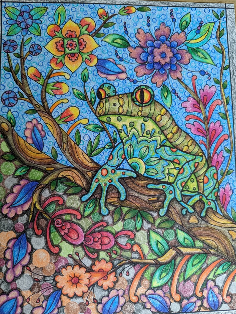 Adult Coloring Pages Frog Coloring Page Amphibians Coloring Pages