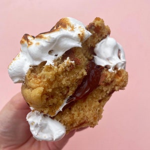 S&#39;mores Cookie Sandwich Recipe | Homemade Gourmet Cookies | Baked Easy PDF Recipe | Stuffed Cookies | Teacake Cookie