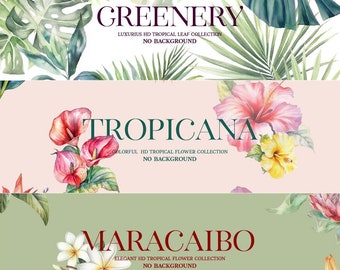 Tropical Plant Clipart, Hibiscus Flowers PNG, Greenery Wedding Invitation (Digital Download)