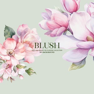 Watercolor flowers clipart, blush pink roses clipart, dusty pink wedding clip art, watercolor floral, Commercial Use License, NO BACKGROUND