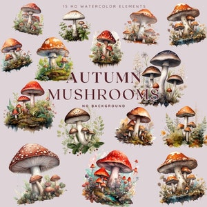 Herbst Pilze Aquarell Clipart, Herbst Clipart, kommerzielle Nutzung Lizenz, kein Hintergrund, druckbare Pilz