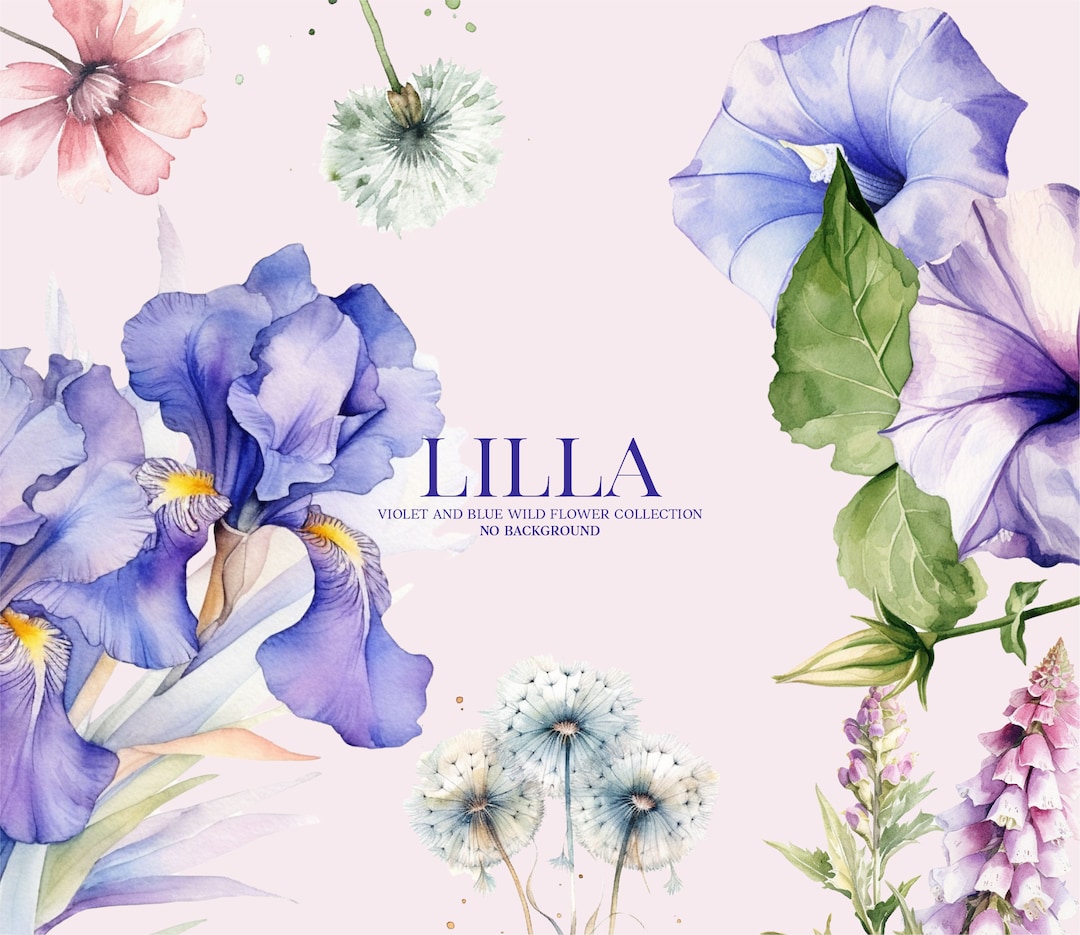 Violet Flower Clipart, Garden Flower Png, Flower Frame Clipart, Light