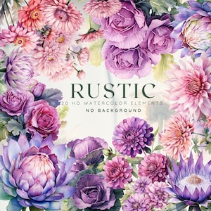 Wilde Blume png, botanische Clipart, rustikale lila Blumen Clipart, violette Blumen, Wildblumen Clipart, Herbst Clipart, Garten Clipart, NO BG