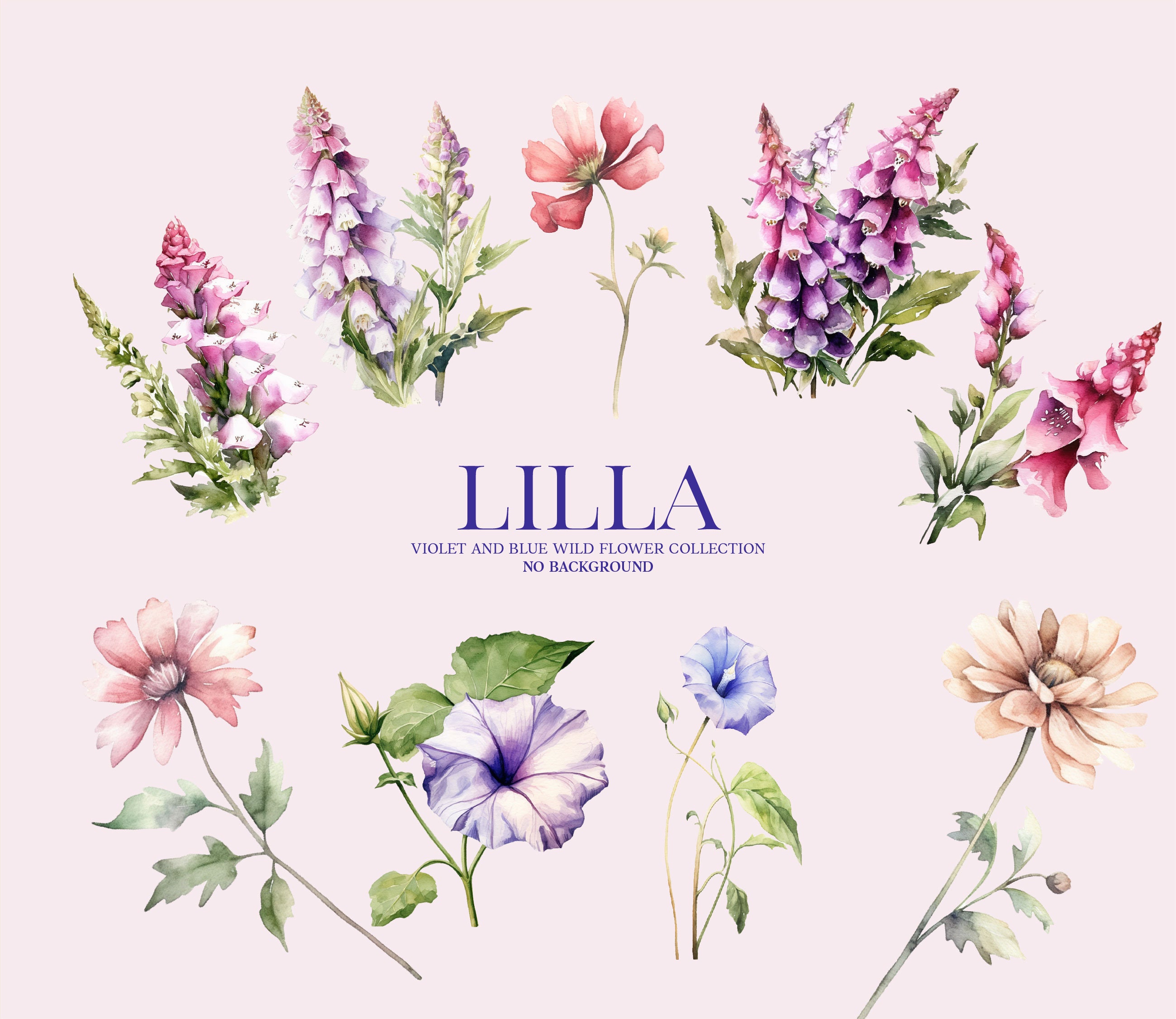 Violet Flower Clipart, Garden Flower Png, Flower Frame Clipart, Light