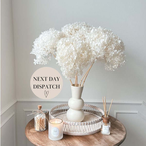 XL White Preserved Hydrangea Diameter 20-25cm | Dried Flowers | Wedding | Flower Arrangement | White Home Decor | Minimalist Home Decor