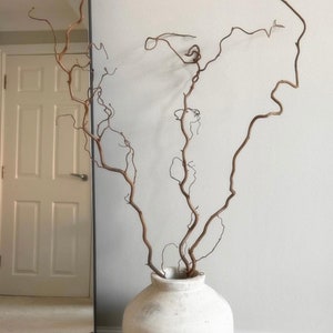 Contorted Twisted Hazel Corylus Branches, Real Decorative Branches ...