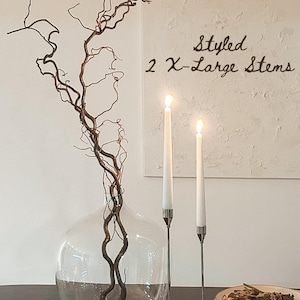 Real Decorative Dried Corylus Branches Wabi Sabi Twigs for Vase, Japandi Twisted Hazel Contorted Branches, Curly Rustic Twig Branch Decor image 8