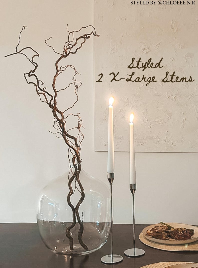 Real Decorative Dried Corylus Branches Wabi Sabi Twigs for Vase, Japandi Twisted Hazel Contorted Branches, Curly Rustic Twig Branch Decor image 8