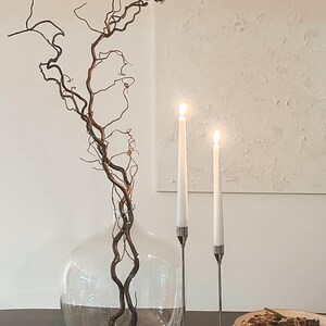 Contorted Twisted Hazel Corylus Branches, Real Decorative Branches ...