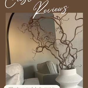 Real Decorative Dried Corylus Branches Wabi Sabi Twigs for Vase, Japandi Twisted Hazel Contorted Branches, Curly Rustic Twig Branch Decor image 6