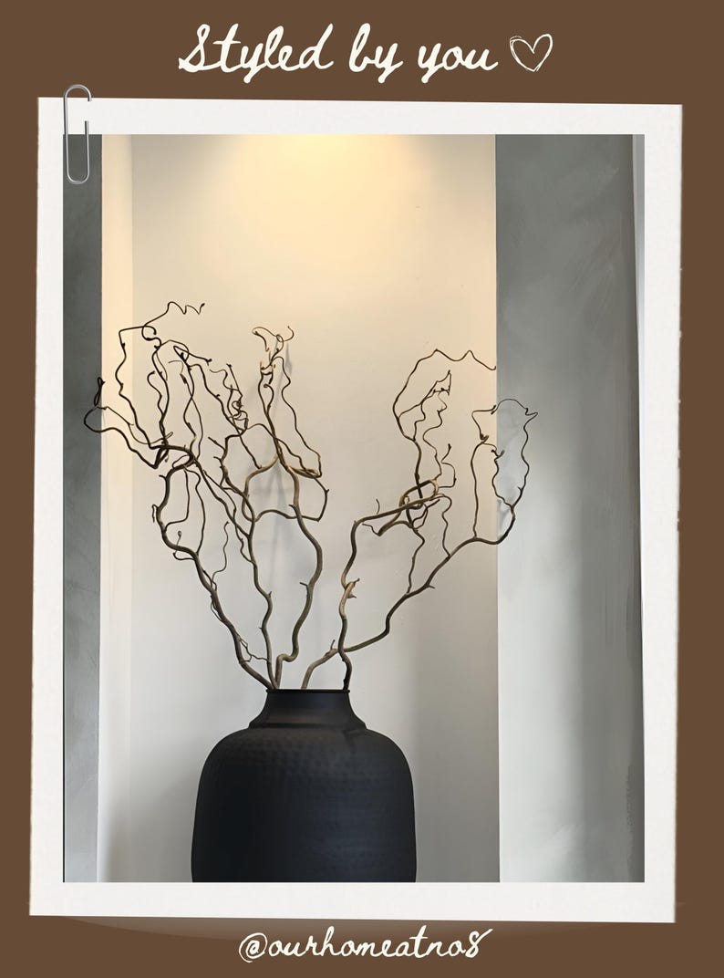 Real Decorative Dried Corylus Branches Wabi Sabi Twigs for Vase, Japandi Twisted Hazel Contorted Branches, Curly Rustic Twig Branch Decor image 14