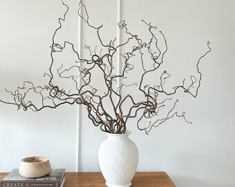 Twisted Corylus Hazel Branches, Natural Decorative Dried Branch