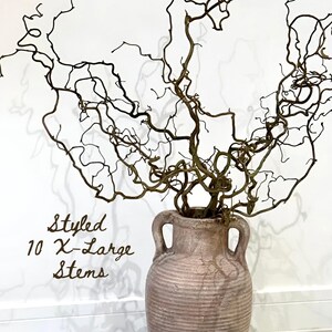 Real Decorative Dried Corylus Branches Wabi Sabi Twigs for Vase, Japandi Twisted Hazel Contorted Branches, Curly Rustic Twig Branch Decor image 11