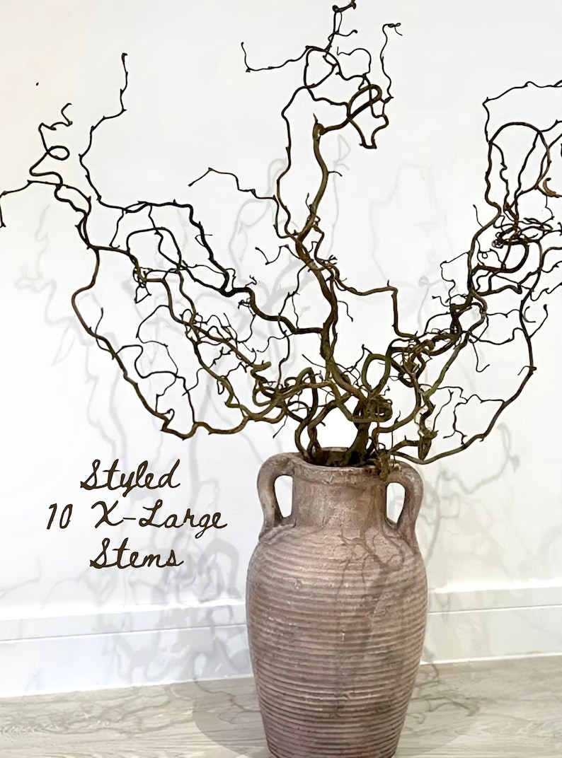 Real Decorative Dried Corylus Branches Wabi Sabi Twigs for Vase, Japandi Twisted Hazel Contorted Branches, Curly Rustic Twig Branch Decor image 11