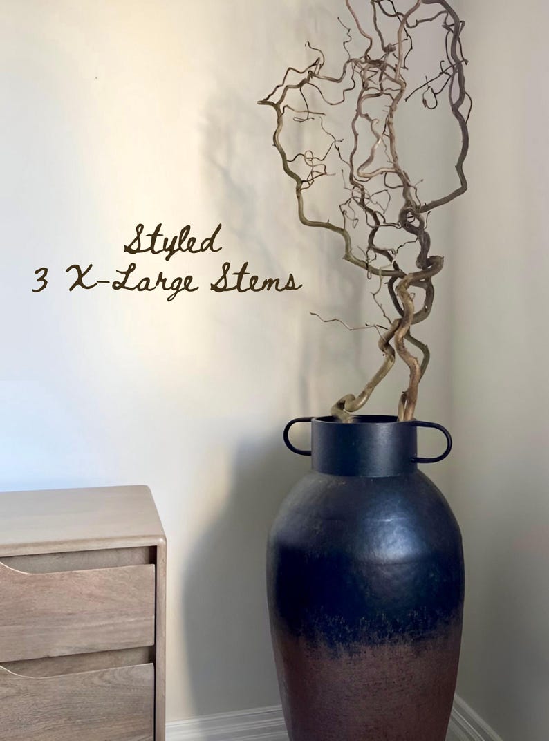 Real Decorative Dried Corylus Branches Wabi Sabi Twigs for Vase, Japandi Twisted Hazel Contorted Branches, Curly Rustic Twig Branch Decor image 9
