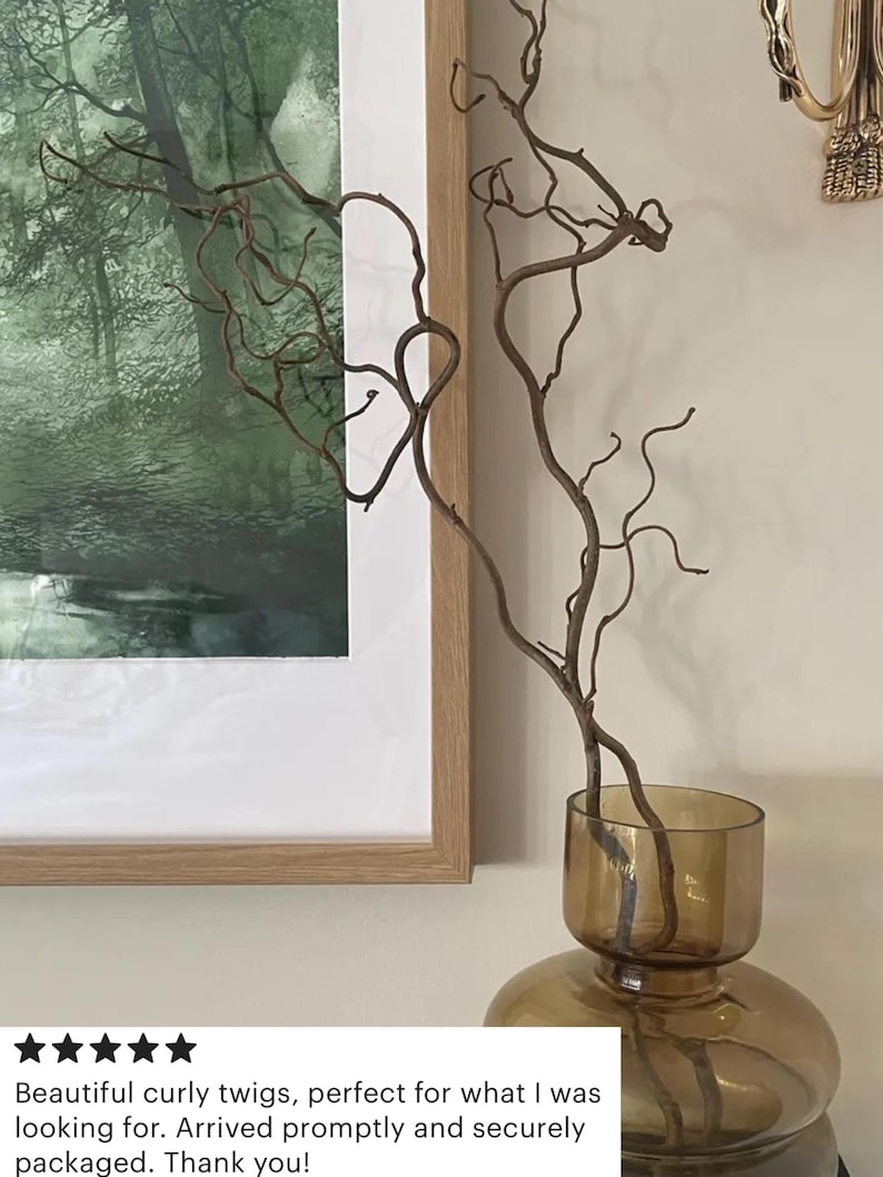 May include: A brown glass vase with a wide, rounded base and a narrow neck. The vase is filled with a bundle of curly brown twigs.