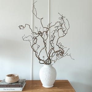 Real Decorative Dried Corylus Branches Wabi Sabi Twigs for Vase, Japandi Twisted Hazel Contorted Branches, Curly Rustic Twig Branch Decor image 4
