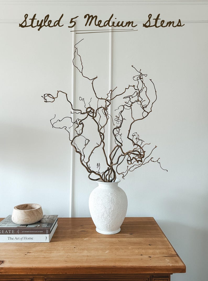 Real Decorative Dried Corylus Branches Wabi Sabi Twigs for Vase, Japandi Twisted Hazel Contorted Branches, Curly Rustic Twig Branch Decor image 4