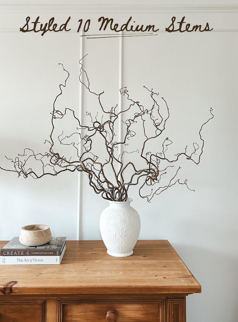 Real Decorative Dried Corylus Branches Wabi Sabi Twigs for Vase, Japandi Twisted Hazel Contorted Branches, Curly Rustic Twig Branch Decor image 5
