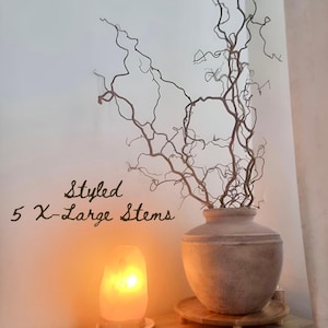 Real Decorative Dried Corylus Branches Wabi Sabi Twigs for Vase, Japandi Twisted Hazel Contorted Branches, Curly Rustic Twig Branch Decor image 10