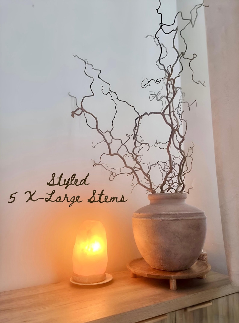 Real Decorative Dried Corylus Branches Wabi Sabi Twigs for Vase, Japandi Twisted Hazel Contorted Branches, Curly Rustic Twig Branch Decor image 10