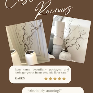 Real Decorative Dried Corylus Branches Wabi Sabi Twigs for Vase, Japandi Twisted Hazel Contorted Branches, Curly Rustic Twig Branch Decor image 7