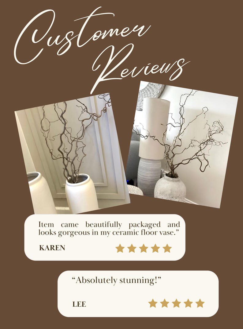 Real Decorative Dried Corylus Branches Wabi Sabi Twigs for Vase, Japandi Twisted Hazel Contorted Branches, Curly Rustic Twig Branch Decor image 7