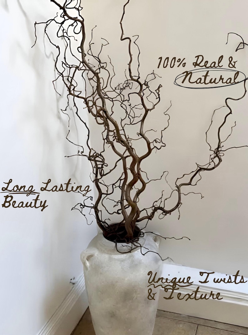 Real Decorative Dried Corylus Branches Wabi Sabi Twigs for Vase, Japandi Twisted Hazel Contorted Branches, Curly Rustic Twig Branch Decor image 2