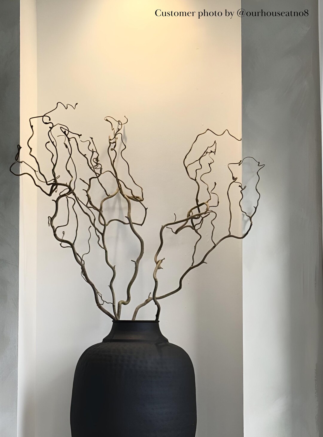 Contorted Twisted Hazel Corylus Branches, Real Decorative Branches ...