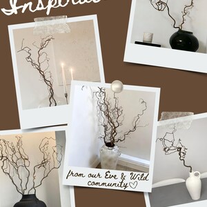 Real Decorative Dried Corylus Branches Wabi Sabi Twigs for Vase, Japandi Twisted Hazel Contorted Branches, Curly Rustic Twig Branch Decor image 12