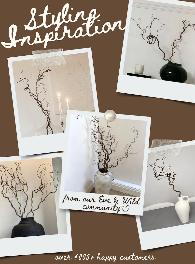 Real Decorative Dried Corylus Branches Wabi Sabi Twigs for Vase, Japandi Twisted Hazel Contorted Branches, Curly Rustic Twig Branch Decor image 12