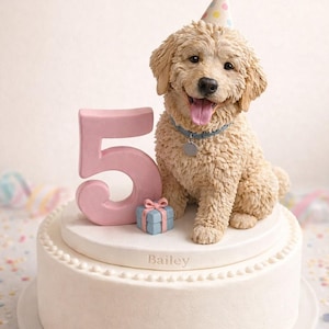 Op de afbeelding: Een verjaardagstaart met een gebeeldhouwde golden retriever die een feesthoed draagt. De taart is versierd met een roze cijfer 5, een kleine blauwe geschenkdoos en de naam "Bailey". De taart heeft een ontwerp met twee lagen met witte glazuur.