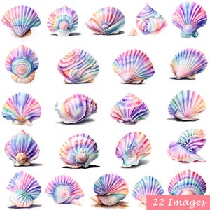 22 PNG水彩画の美しいパステルカラーの貝殻、海のクリップアート、デジタルダウンロード、アートと工芸、クリップアートバンドル、商用利用