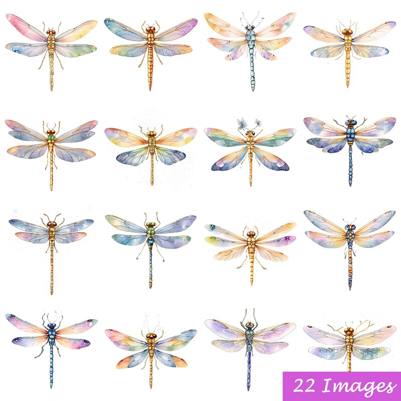 Dragonfly Clipart - Etsy