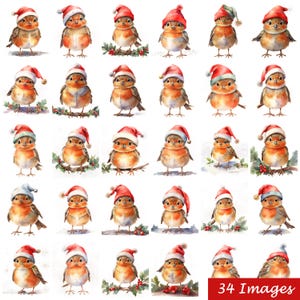 Rouge-gorge de Noël aquarelle 34 PNG avec bonnet de Noel, clipart Noël, lot de cliparts, travaux manuels, usage commercial, scrapbooking