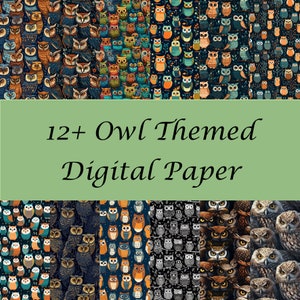Könnte beinhalten: Ein digitales Papierpaket mit über 12 Eulen-Motiven. Die Muster zeigen Eulen in verschiedenen Farben und Designs, darunter Blau, Grün, Orange und Braun. Der Text "12+ Owl Themed Digital Paper" wird in der Mitte des Bildes angezeigt.