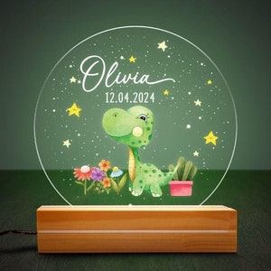 Custom Name Baby Animal Night Light, Personalized Kids Birthday Boy Gift, Birthday Girl Family Room Decor, Cute Animal Baby Home Gifts Lamp