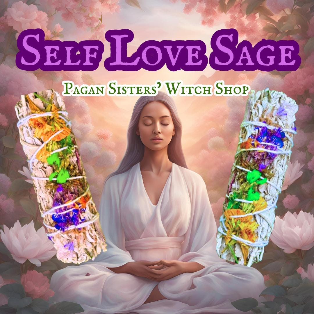 Self Love Sage / Sisterly Sage Mix / Cleanse / Protect / Increase Positive Energy / Banish Negative Energy / Mediation / Spiritual / Pagan