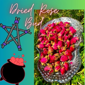 Könnte beinhalten: Getrocknete Rosenknospen in einer silbernen Schädelschale. Die Knospen sind tiefrosa und liegen in einem Haufen. Die Schale ist von grünem Laub umgeben.