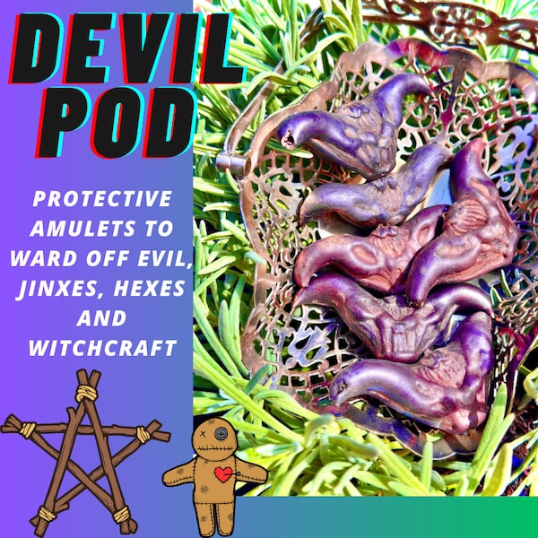 Devil Pod / Bat Nut / Water Caltrop / Trapa bicornis / Buffalo Nut / Protective Amulet To Ward Off Evil Energy, Jinxes, Hexes & Witchcraft