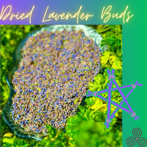 May include: A close-up of a glass bowl filled with dried lavender buds. The bowl is sitting on a bed of green leaves.