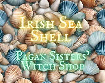 Sea Shell / Scallop Shell / Smudging / Candle / Soap Dishes / Jewellery / Windchimes / Sage / Earth / Beach / Magick / Pagan / Witch / Irish