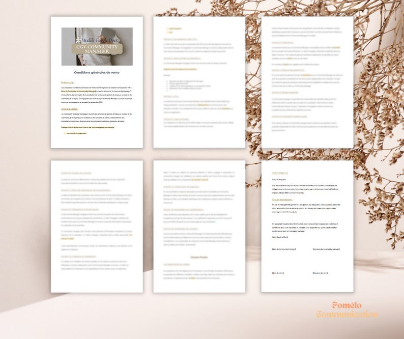 Modèle CGV community manager Template CGV français CM Modèle conditions générales de vente community manager Template community manager image 3